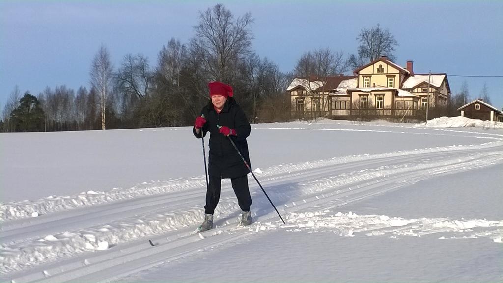 Hotel Loeydoen Kartano Ristiina Zewnętrze zdjęcie